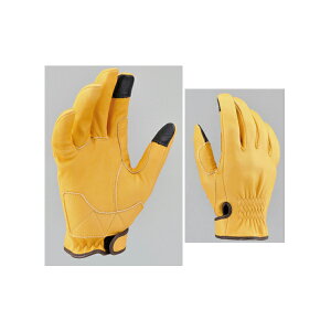 y115oׁzfCgi HBG-037DKJbgV[g [L/XLTCY] 96820