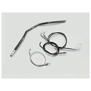 y×i v[mFznP[ gbJ[XyV nhSET [ubN] GXgRS('95`'06) H716-033B