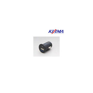 y920oׁzLW} USBϊA_v^[ 12VVK[/USB|[gFDC5V/2.1A 304-621A