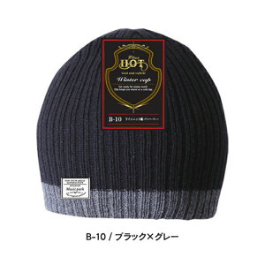 ӂ CjbgX [ubN/O[] t[ B-10