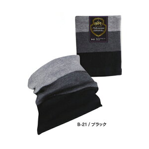 ӂ {[_[lbNEH[}[ [ubN] t[ B-21