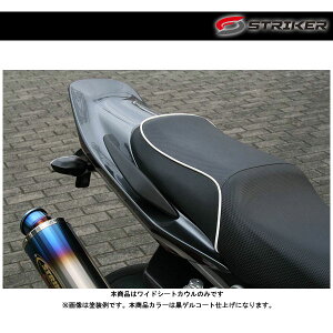 STRIKER(XgCJ[) GAfUC ChV[gJE Q ZRX1200DAEG('09`) SAD-SC101B