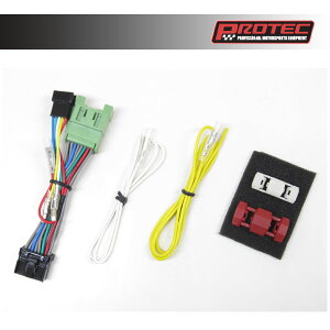 vebN HS-Y42 Vtg|WVCWP[^[Ԏpn[lXLbg@@TDM900/ABS 11642