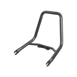 y1129oׁzL^R HIGH Ouo[(ubN) DAX125[JB04] 80-653-13201