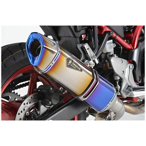 A[YMA SV650 }t[ AXybN@XbvI }t[[`^hbOu[] SV650 ABS/SV650X ABS('17`) RS18-T3SD