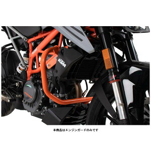 wvRxbJ[ GWK[h IW KTM 125 DUKE('21) 5017630-0006