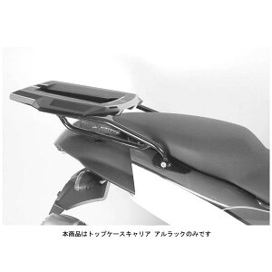 wvRxbJ[ gbvP[XLA AbN ubN BMW K1200S('04`'08) 650639-0101