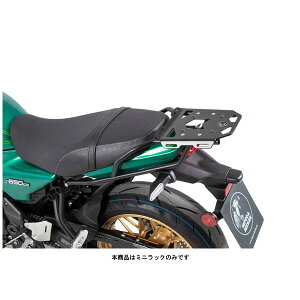 wvRxbJ[ ~jbN ubN Z650RS('22) 6602549-0101