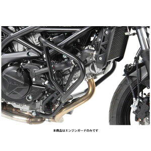 wvRxbJ[ GWK[h ubN SV650/X ABSEGLADIUS 650 5013532-0001