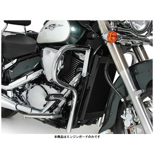 wvRxbJ[ GWK[h N[ TRIUMPH THUNDERBIRD1600('09`'10) 501720-0002