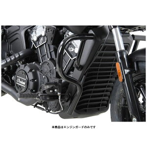 wvRxbJ[ GWK[h ubN INDIAN SCOUT BOBBER('17`'20) 5017568-0001