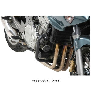 wvRxbJ[ GWK[h ubN CBF1000('06`'11) 501943-0001