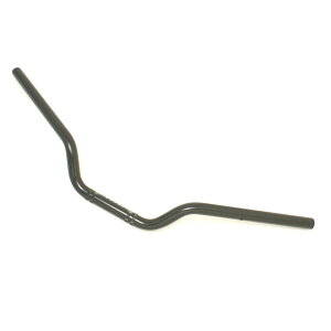 EFFEX (�G�t�F�b�N�X) �C�[�W�[�t�B�b�g�o�[Low �u���b�N XJR1300('00�`'06) EBL301K