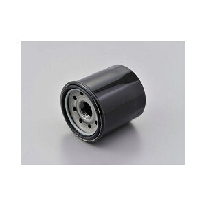 fCgi vCXICtB^[ F-21 KAWASAKIn Ɩp10 35206