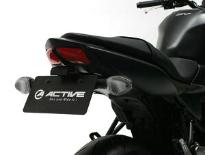 ACTIVE(ANeBu) SV650/X SUZUKI XYL tF_[XLbg ubN [LEDio[t] 1155038