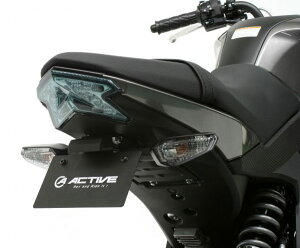y݌ɂzACTIVE(ANeBu) Z125 v KAWASAKI JTL tF_[XLbg ubN [LEDio[t] 1157085