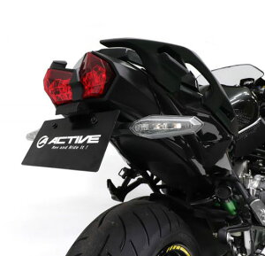 y݌ɂzACTIVE(ANeBu) jW H2 SX/SX SE KAWASAKI JTL tF_[XLbg ubN [LEDio[t] 1157091