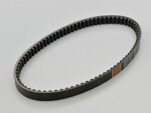 y1119oׁzfCgi(DAYTONA) LEJVxg AhX110(CE47A) 91249