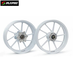 GALE SPEED (QCXs[h) CB400SF/SBECBR900RR  A~bzC[ [TYPE-R] tg 350-17 \bhzCg KXR[eBOdl 28310002SWQ
