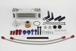 (TAKEGAWA) CT125(JA65-1000001?) RpNgN[Lbg(3tB/XCz[X) SP07-07-0449