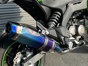 y115oׁzBEET Z125 PRO NASSERT Evolution Mini tGL][Xg}t[[NA`^TCT[] 0255-KD5-50