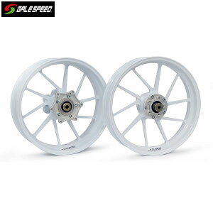 GALE SPEED (�Q�C���X�s�[�h) SV650/X ABS �A���~�b���z�C�[�� [TYPE-R] �t�����g 350-17 �\���b�h�z���C�g �K���X�R�[�e�B���O�d�l 28350075SWQ