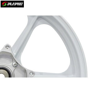 GALE SPEED (QCXs[h) CB1300SF(98-02) A~bzC[ [TYPE-N] tg 350-17 \bhzCg KXR[eBOdl 28610001SWQ