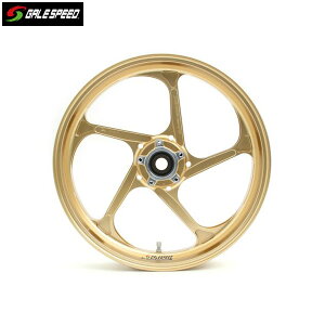 GALE SPEED (QCXs[h) MV AGUSTA BRUTALE 1090 A~bzC[ [TYPE-GP1S/mA[p tg 350-17 S[h 29195068