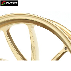 GALE SPEED (QCXs[h) ZRX1100/ZZR1100D/ZRX1200R A~bzC[ [TYPE-SB1] tg 350-17 S[h 29275002