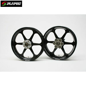GALE SPEED (�Q�C���X�s�[�h) GT1000/SPORT 1000/PAUL SMART 1000 IE �A���~�b���z�C�[��[TYPE-N] F 350-17 G�u���b�N G�R�[�e�B���O 28691006GBQ