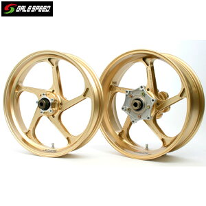 GALE SPEED (�Q�C���X�s�[�h) GSX1300R(08-12)/B-KING(08-11) �A���~�b���z�C�[��[TYPE-GP1S] �t�����g 350-17 �S�[���h �K���X�R�[�e�B���O�d�l 28855010Q