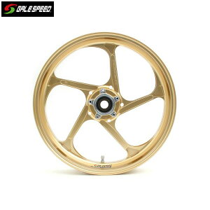 GALE SPEED (QCXs[h) MV AGUSTA BRUTALE 1090 A~bzC[[TYPE-GP1S/mA[p]tg 350-17 S[h KXR[eBOdl 29195068Q