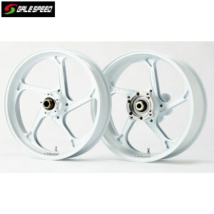 GALE SPEED (�Q�C���X�s�[�h) YZF-R6(17-20) �A���~�b���z�C�[�� [TYPE-GP1S] �t�����g 350-17 �\���b�h�z���C�g 28830036SW
