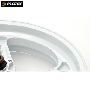 GALE SPEED (QCXs[h) DUCATI 1299 PANIGALE/1199 PANIGALE A~bzC[[TYPE-GP1S/mA[]tg 350-17 SzCg 29190066SW