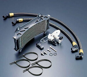 ACTIVE(ANeBu) GSX1100S SUZUKI XYL ICN[[Lbg(TCh)Eh ubN 6 T[Ή AC14035310BC