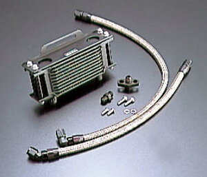 y110ח\ tzACTIVE(ANeBu) SRX400 YAMAHA }n ICN[[Lbg Xg[g ubNdl #6 AC14054007B