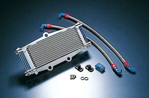 ACTIVE(ANeBu) ZEPHYR750 ZEPHYR400 750RS ICN[[Lbg Xg[g Vo[ #6 AC14057810