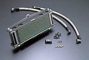 ACTIVE(ANeBu) ZEPHYR750 ZEPHYR400 JTL ICN[[Lbg Eh Xg[g ubN #6 T[Ή AC14057913BC