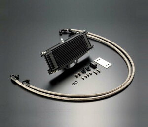 ACTIVE(ANeBu) XJR400 XJR400R }n ICN[[Lbg(TCh)Xg[g ubN 6 T[Ή AC14063610BC