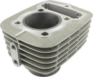 y107oׁzVtgAbv GCv100 NSF100 XR100 53mmSV_[ 59.5 401010-CL-10