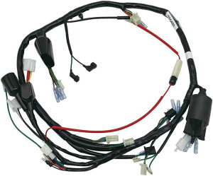 POSH NSR50 z_ HONDA Cn[lX P220400