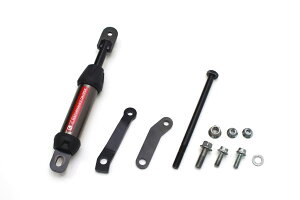 ACTIVE(ANeBu) CB250R HONDA z_ ptH[}X_p[ 13691103