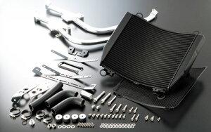 ACTIVE(ANeBu) GPZ750R GPZ900R KAWASAKI JTL rbOWG[^[Lbg [TYPE-1] ubN 5057021B