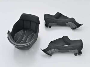 y129oׁzfCgi DN-008OF Zbg L DAY62316