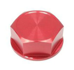 �y12��26�����ח\�� ��t���zACTIVE(�A�N�e�B�u) ZRX1100 ZRX1200�_�G�O ZRX1200R KAWASAKI �J���T�L �R���o�[�`�u���X�e���L�b�g�p�i�b�g ���b�h 13600044