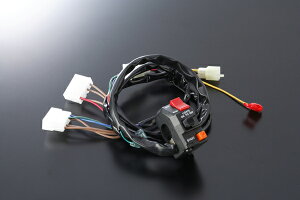 ACTIVE(ANeBu) GPZ900R ZX-10 [t@[1100 KAWASAKI JTL XCb`ASSY 1387301