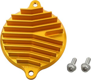 VtgAbv L[125 CT125 GROM rbgrbNtBJJo[ S[h 260113-04