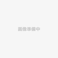 パナソニック Panasonic 洗濯乾燥機 モータ AXW401-3AH0