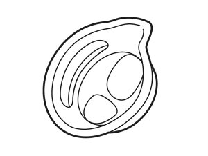 pi\jbN Panasonic X`[zpA^b`gAiz}XNj EWKA65X3717