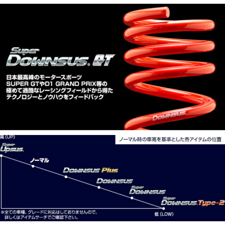 ESPELIR エスペリア SupeR DOWNSUS GT スーパーダウンサスGT<br> ミツビシ ランサーエボリューション ｴﾎﾞﾘｭｰｼｮﾝ CN9A ESB-530 送料無料(一部地域除く)